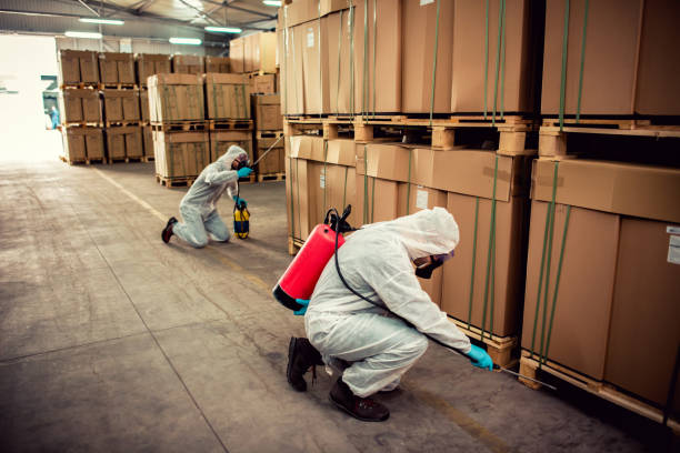 Best Mosquito Control Services  in Wood Dale, IL