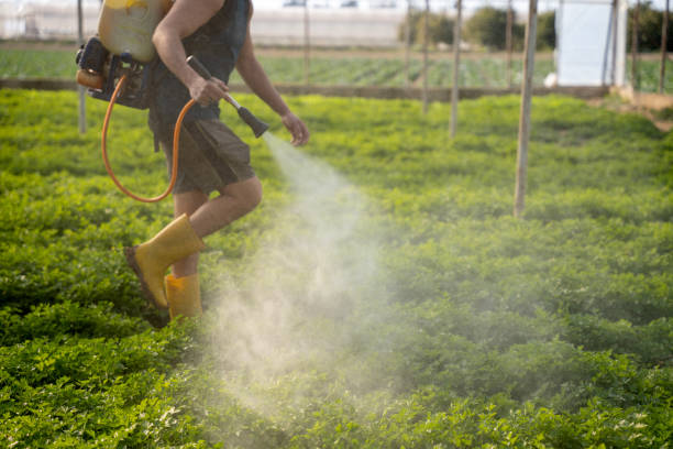 Best Best Pest Control Companies  in Wood Dale, IL