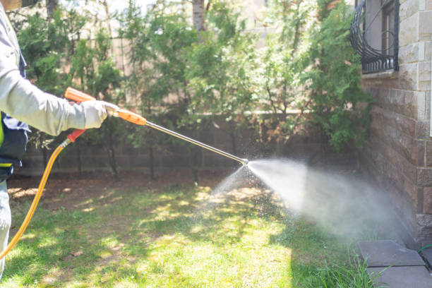 Best Pest Inspection Near Me  in Wood Dale, IL