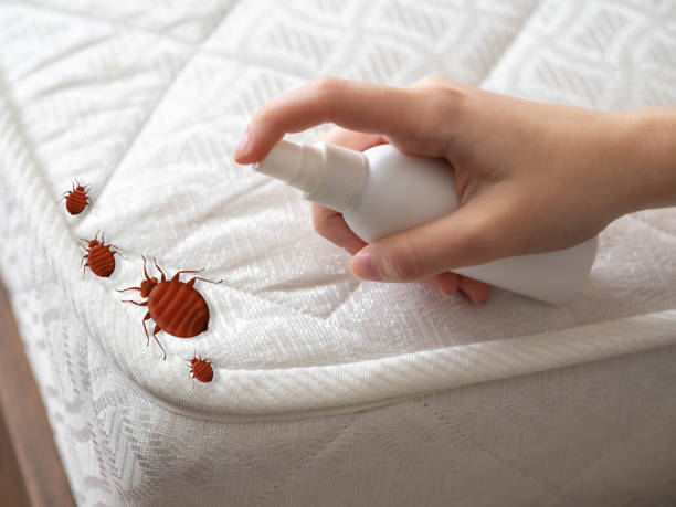 Best Best Pest Control Companies  in Wood Dale, IL
