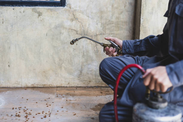 Best Pest Control Near Me  in Wood Dale, IL